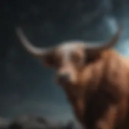 Taurus constellation illustration