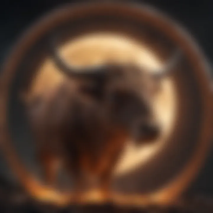 Taurus Symbolic Representation