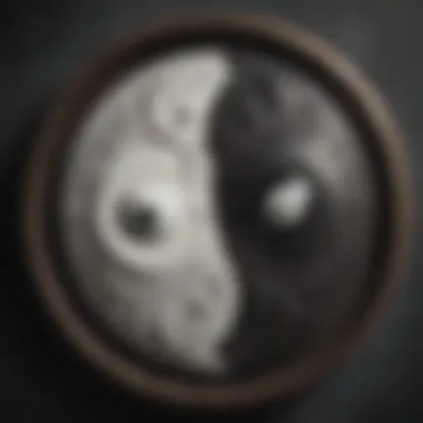 Visual representation of yin-yang philosophy