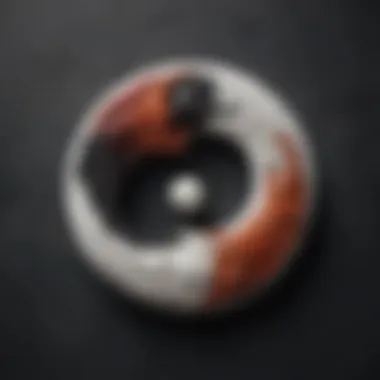 The Interplay of Yin and Yang Artistic representation of yin and yang balance